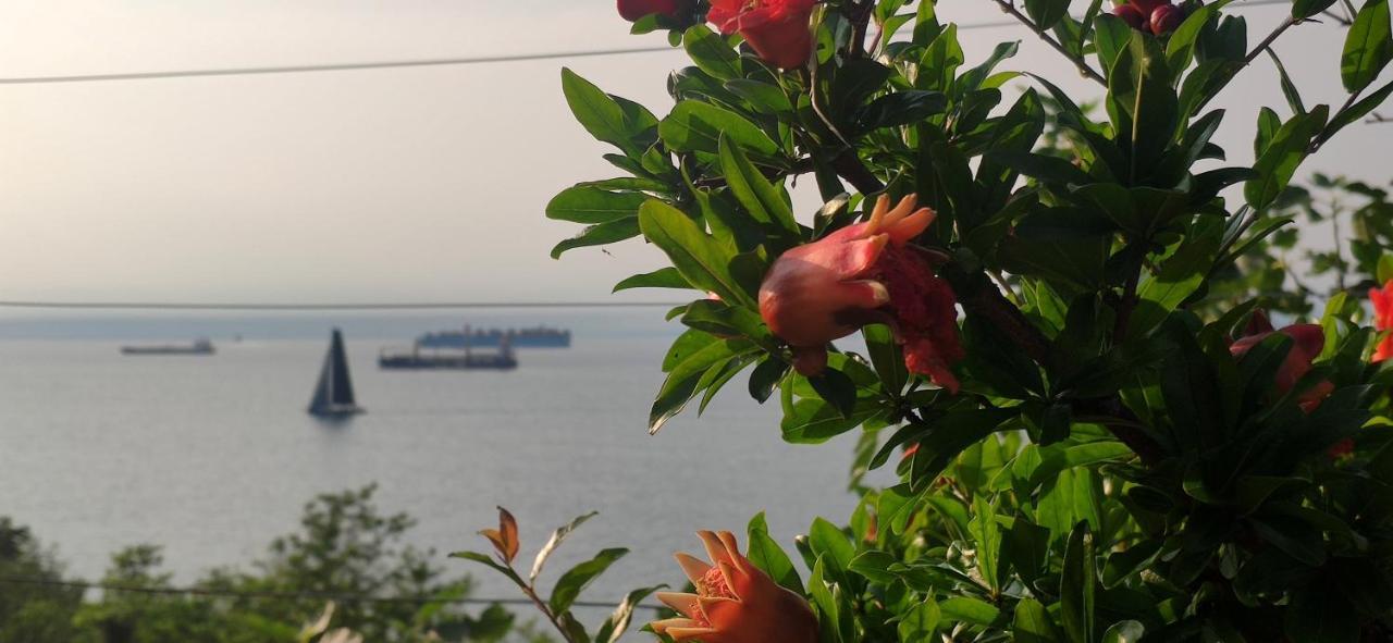 Sea Sun & Me Apartment Koper Ngoại thất bức ảnh